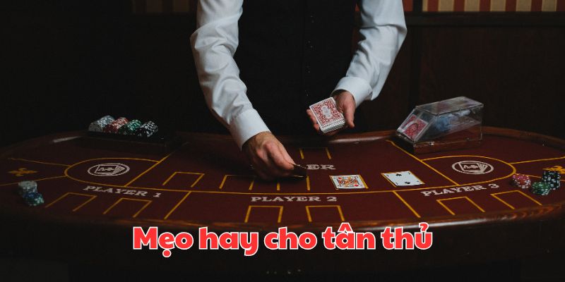 Cá cược hiệu quả với mẹo dễ dùng