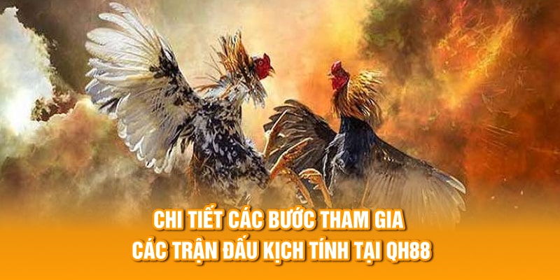 Chi tiết các bước tham gia các trận đấu kịch tính tại QH88