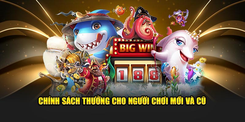 Chính sách thưởng từ nhà cái cho người mới và cũ